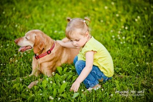 Children and animals, life is very precious. Little Girl and Viszla help unwanted animals and sick children