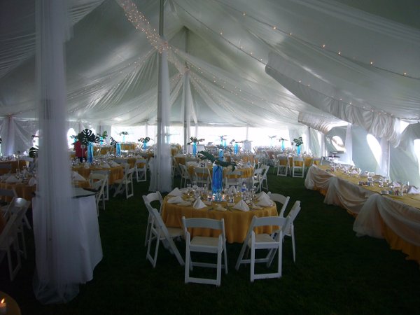 Lovely Tent Reception Tent Reception draped in tulle